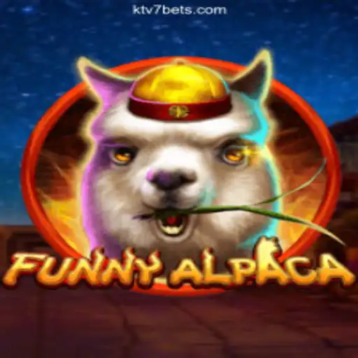 Exploring the Amusement and Strategy of FunnyAlpaca